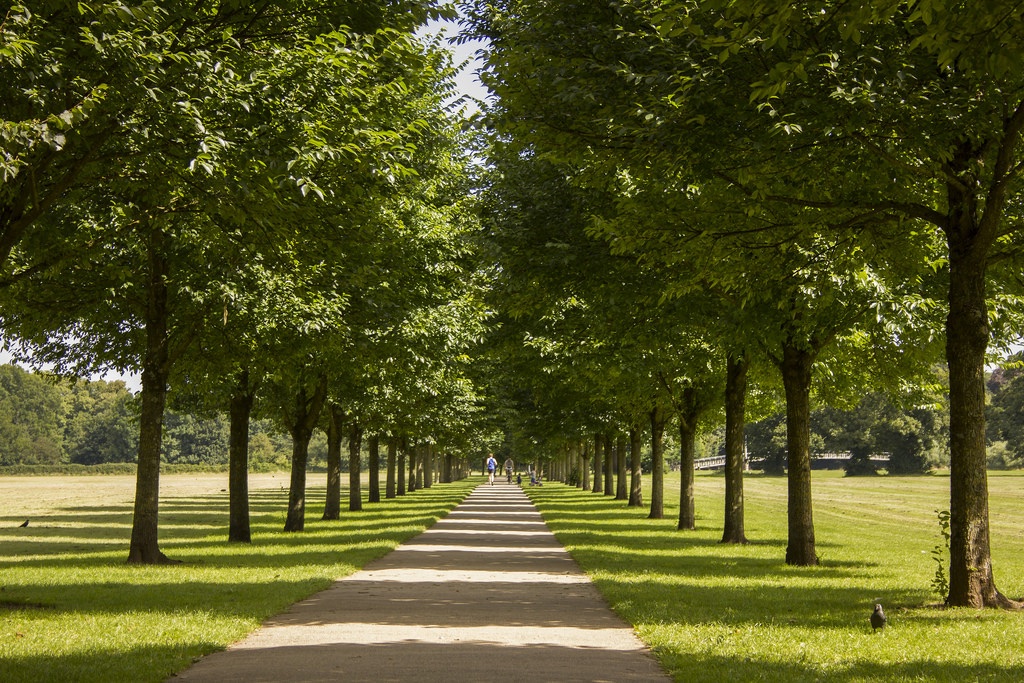 Pontcanna Fields